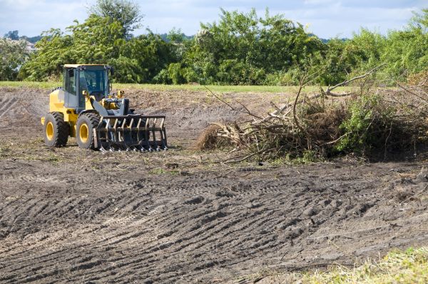 Charleston Land Clearing